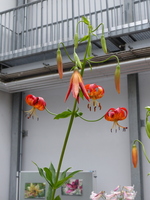 Foto: Dr. Peter Müller